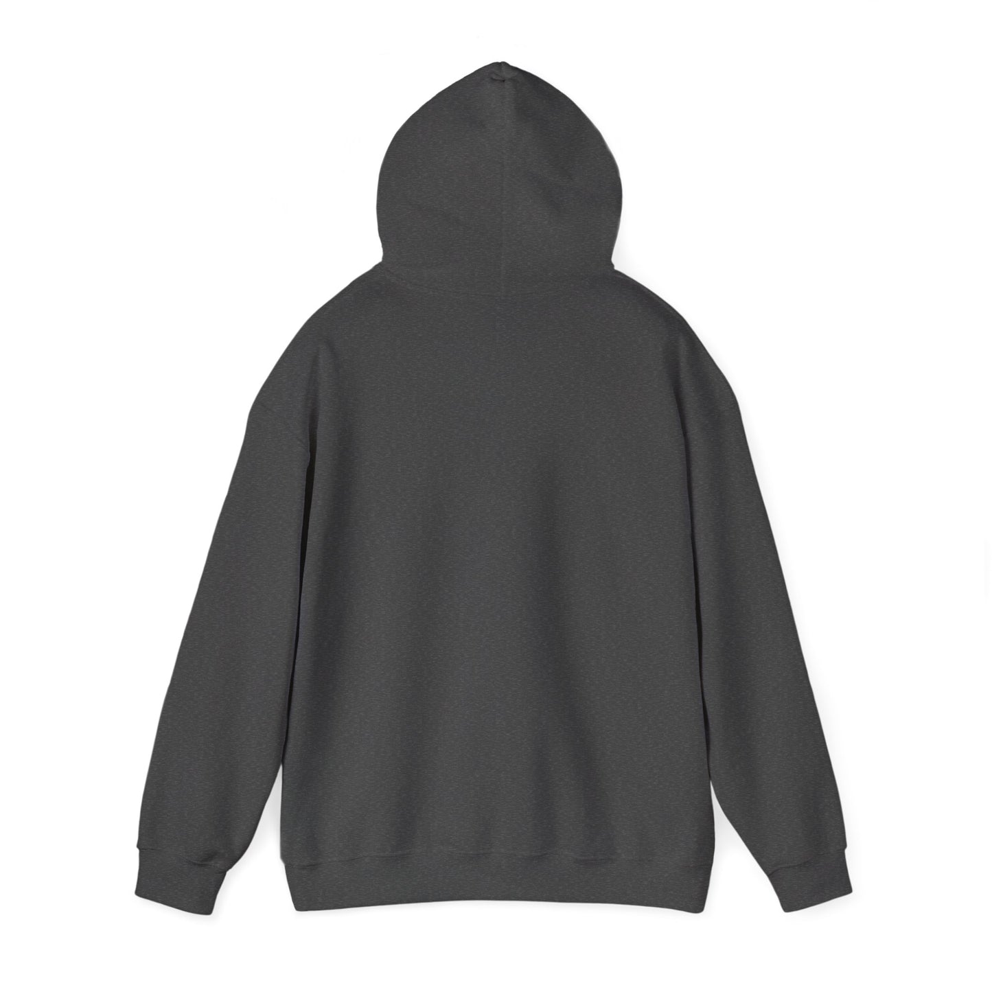Painscape Music Unisex Heavy Blend™ Hooded Sweatshirt
