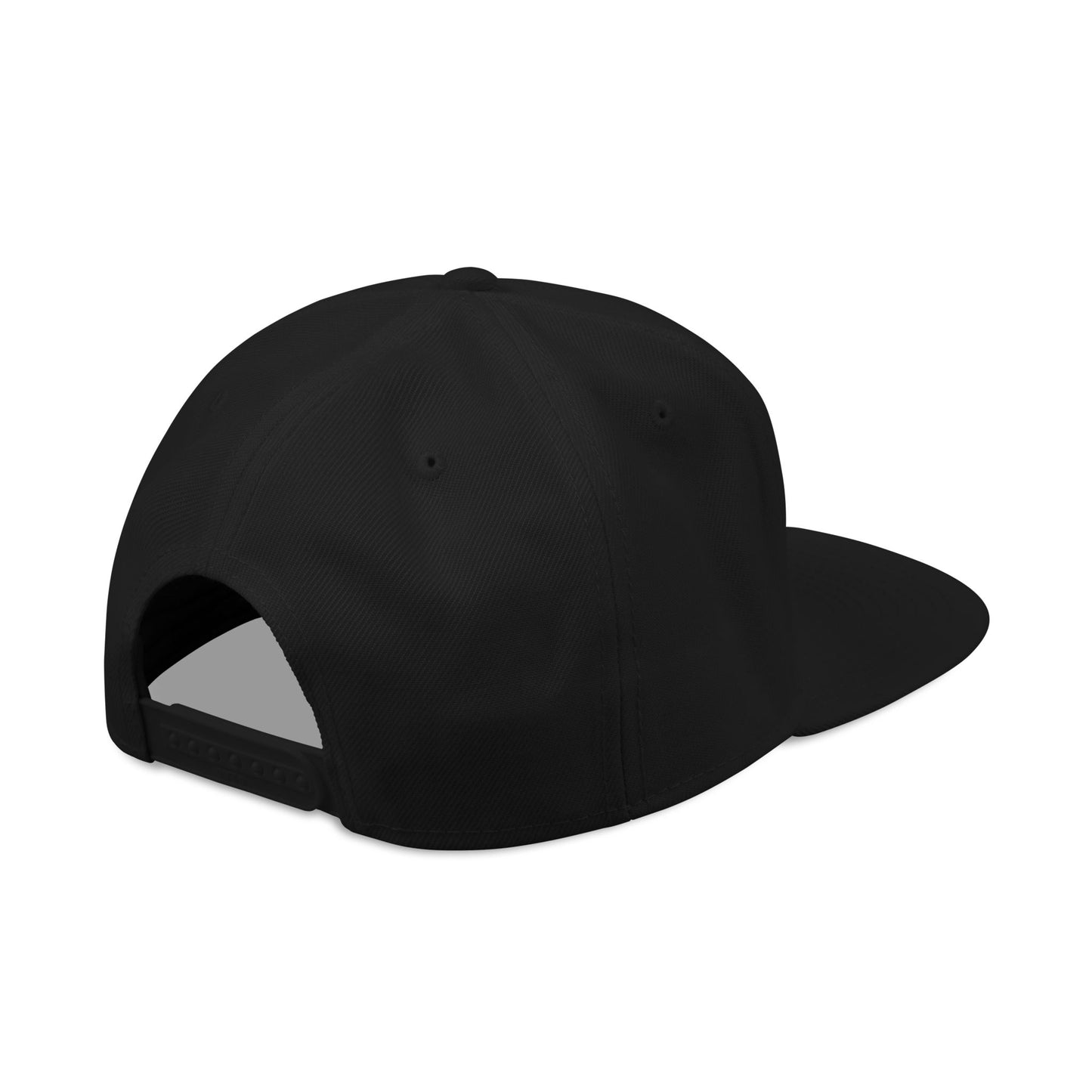 Painscape Music Stylish Snapback Cap with Embroidered Design, Cool Hat for Streetwear, Adjustable Cap for Men and Women, Perfect Gift for Music [...]